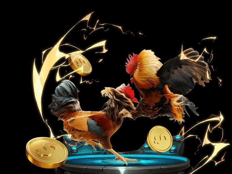 Game Bài Blackjack Pro